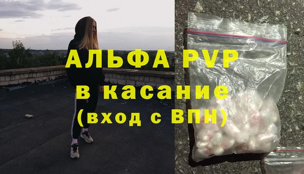стафф Аркадак