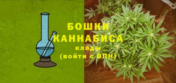 стафф Аркадак