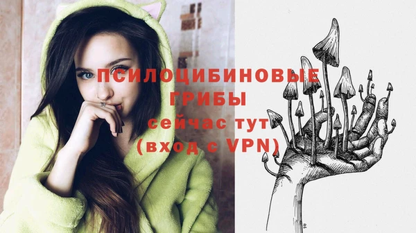 ПСИЛОЦИБИНОВЫЕ ГРИБЫ Алзамай