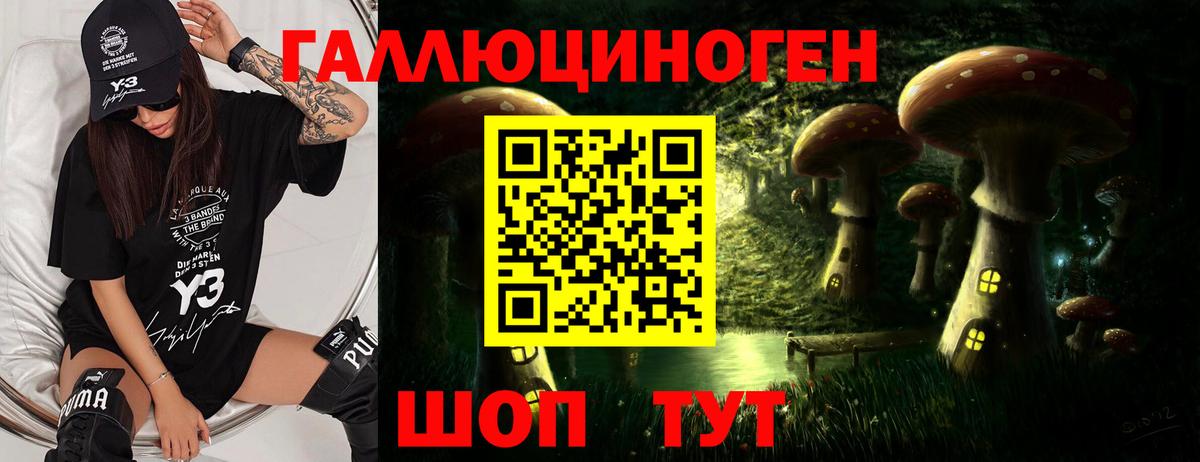 Галлюциногенные грибы Magic Shrooms Чернушка