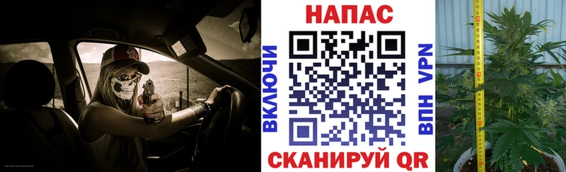 наркотики  Чернушка  Бошки марихуана конопля 